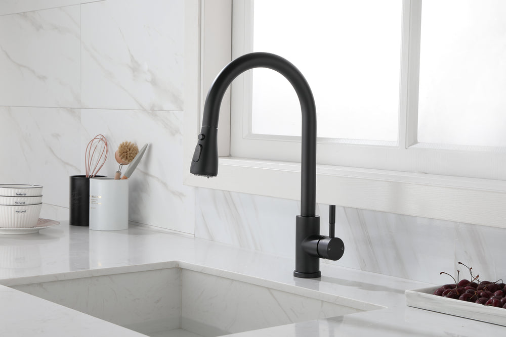 Versatile Pull-Out Kitchen Faucet