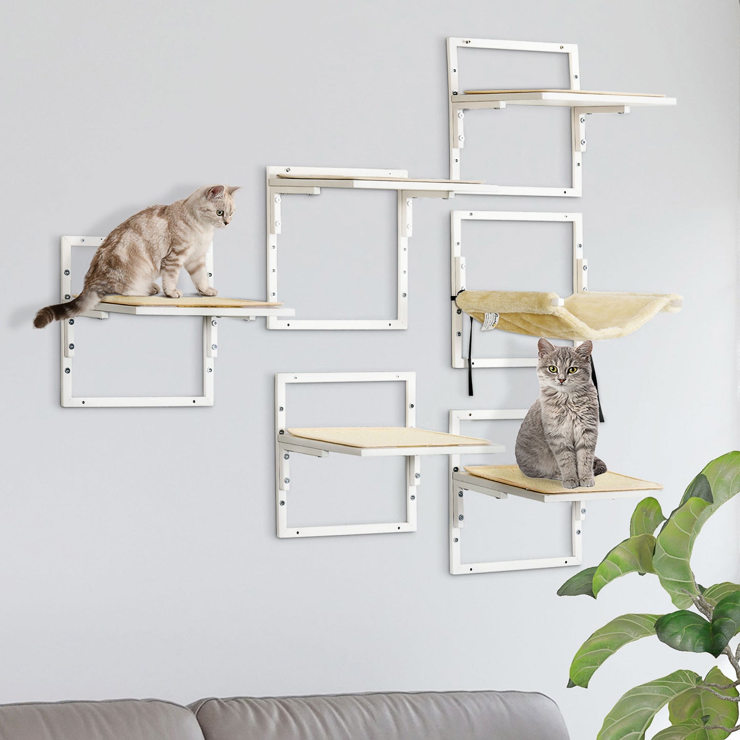 Cozy Cat Climb & Lounge Wall Set