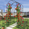 Elegant Climbing Garden Arch with Plant Stands