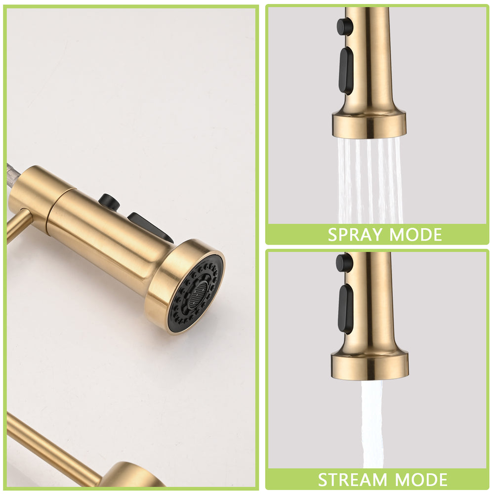 Golden Touch Kitchen Faucet with Pull Down Sprayer