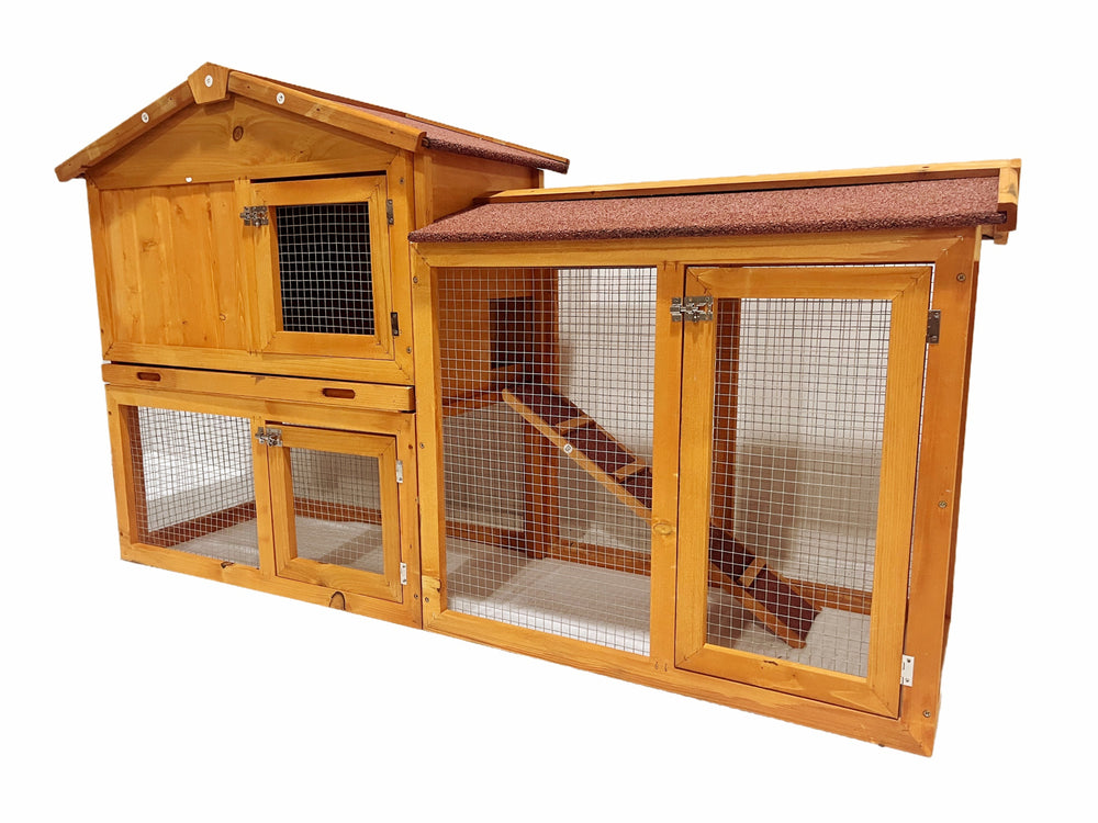 Playground Chicken Coop Adventure