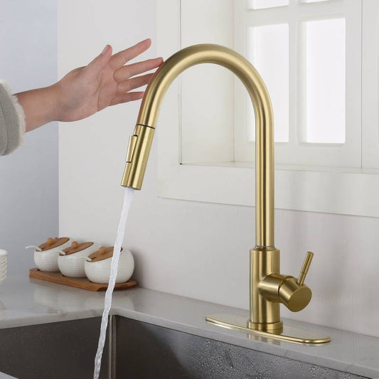 Spry Touch Kitchen Faucet