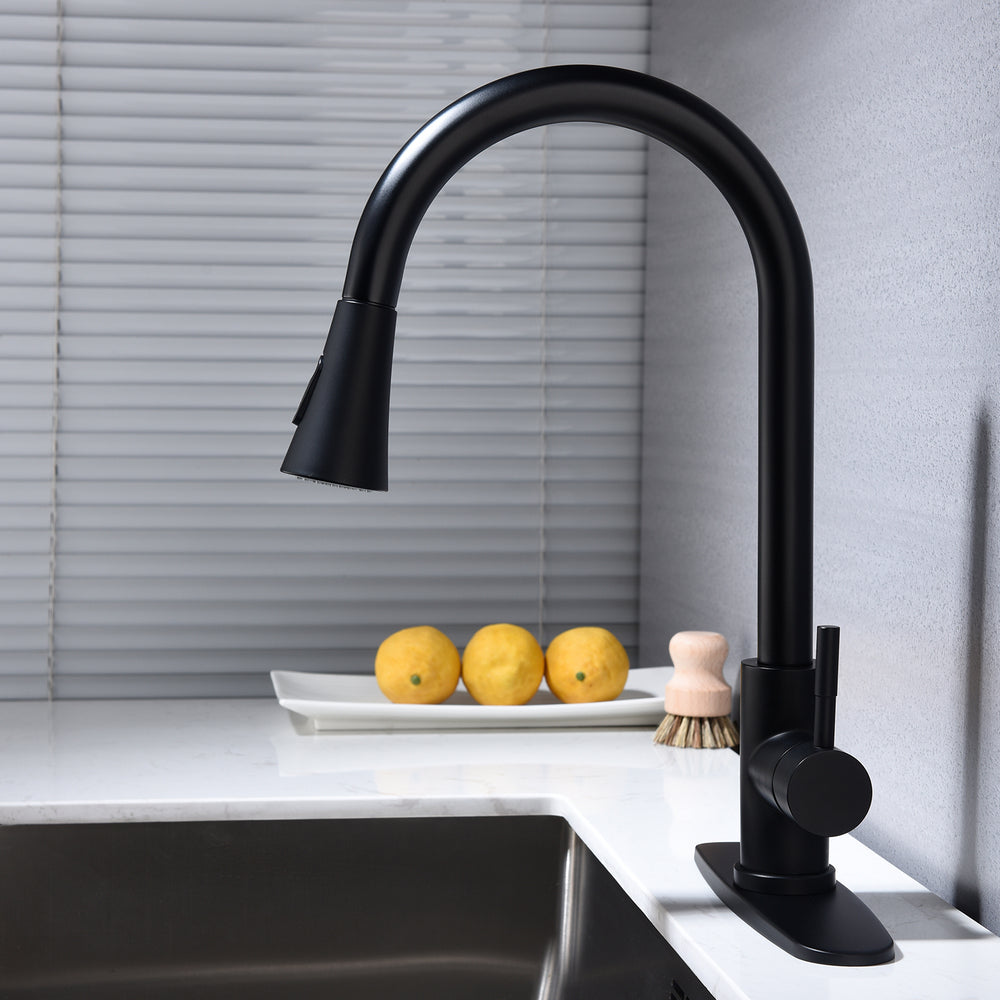 Swipe & Spray Kitchen Faucet