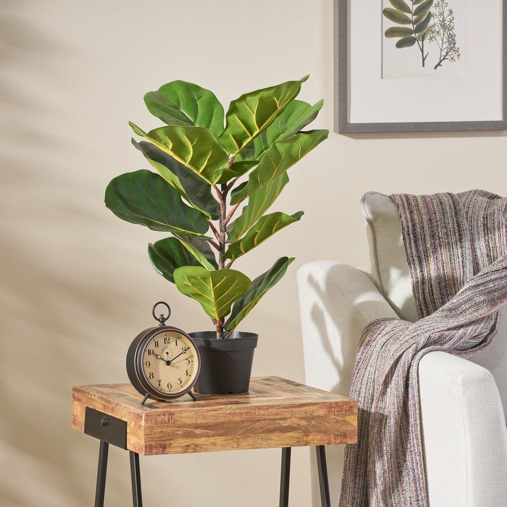 Lush Fiddle Leaf Fig Tree