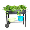 Garden Cart Planter with Wheels - Mobile Elevated Bed for Herbs & Veggies