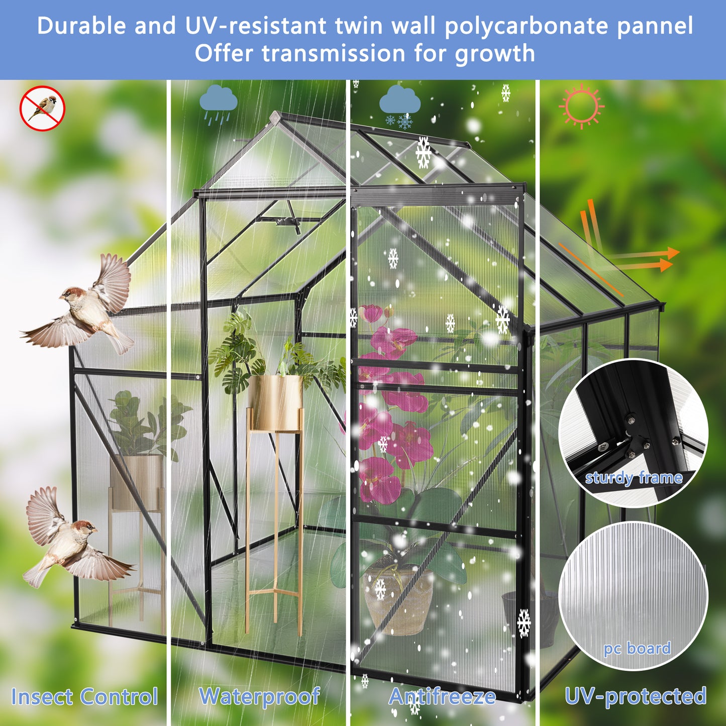 Cozy Black Polycarbonate Backyard Greenhouse