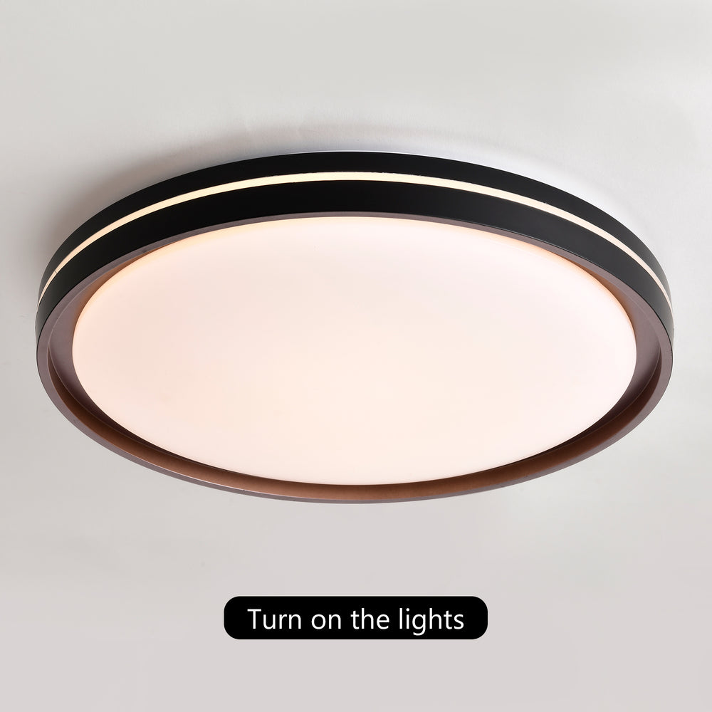 Versatile LED Ceiling Light – Dimmable & Color Changeable!