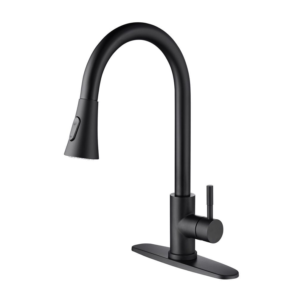 Swipe & Spray Kitchen Faucet