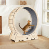 Purr-fect Cat Fitness Wheel