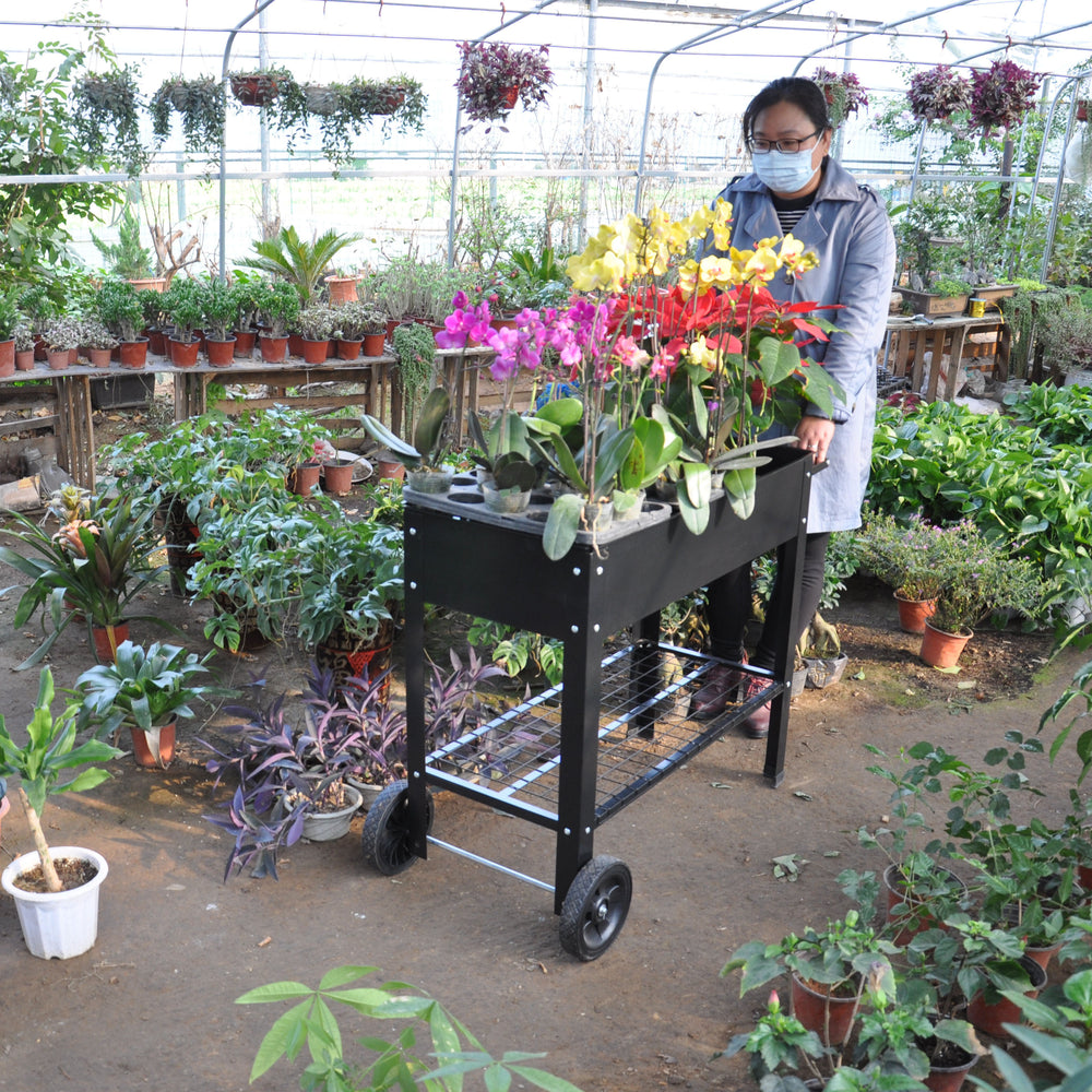 Garden Cart Planter with Wheels - Mobile Elevated Bed for Herbs & Veggies