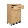 Stylish Five-Drawer Organizer