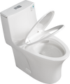 EcoFlush Comfort Toilet