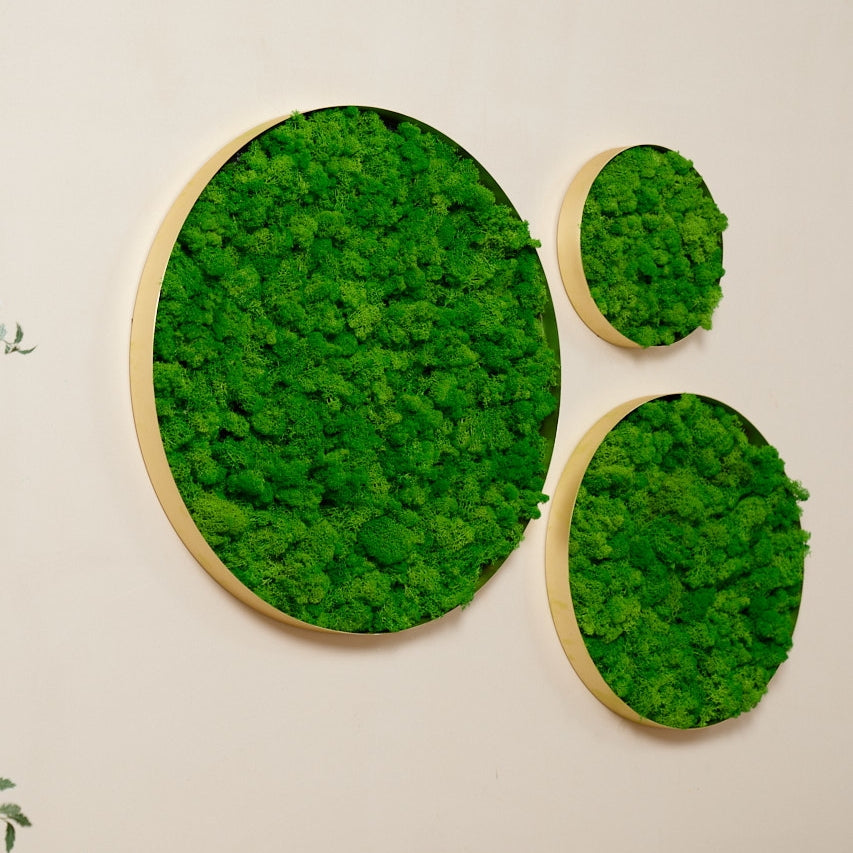 Lush Moss Round Wall Art