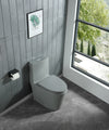 Eco-Friendly Comfort Height Toilet with Soft Close - Light Grey