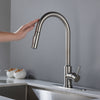 Spruce Touch Kitchen Faucet