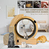 PurrfectPlay Activity Wheel for Cats