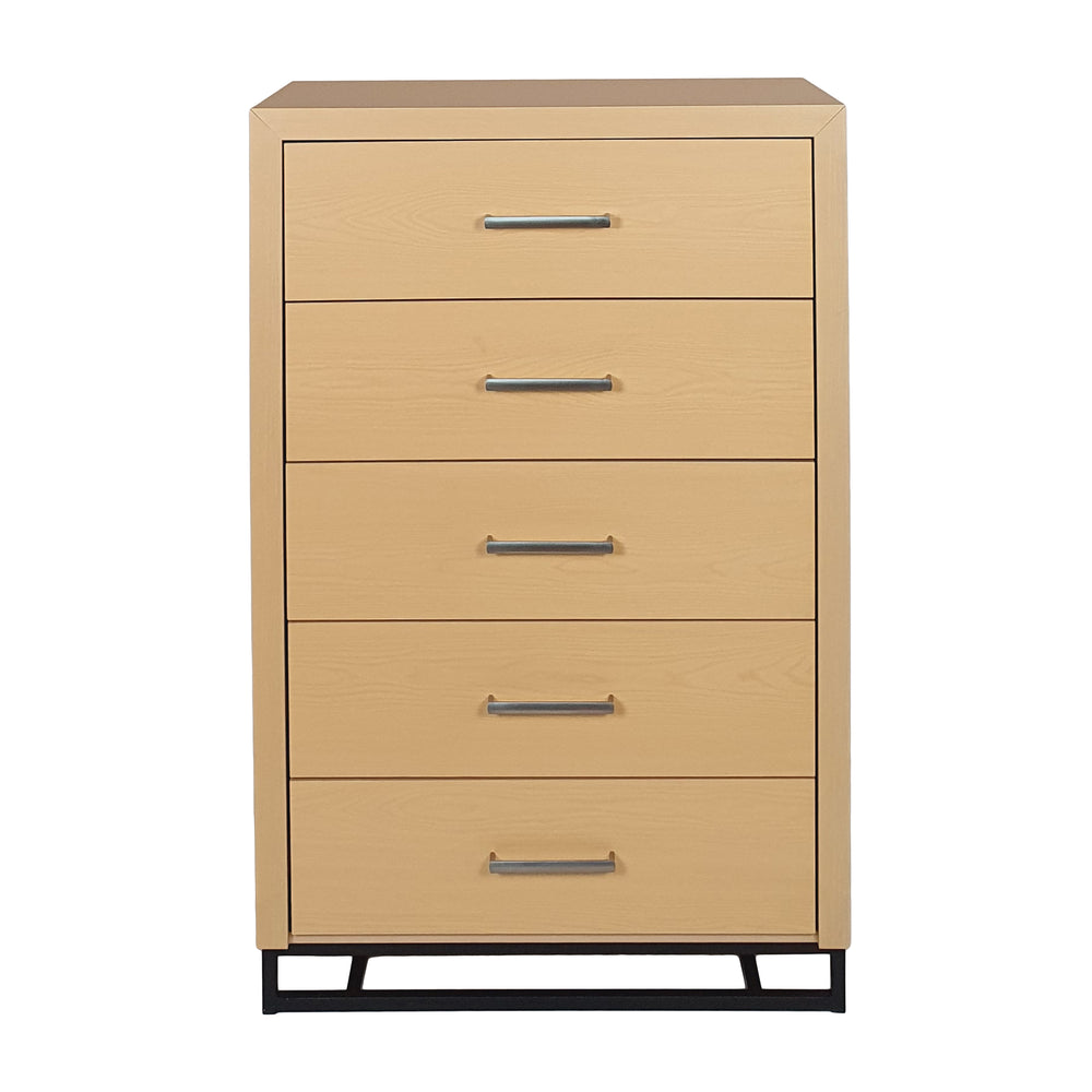 Stylish Five-Drawer Organizer