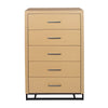 Stylish Five-Drawer Organizer