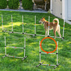 Pup Playset: Ultimate Agility Course for Dogs