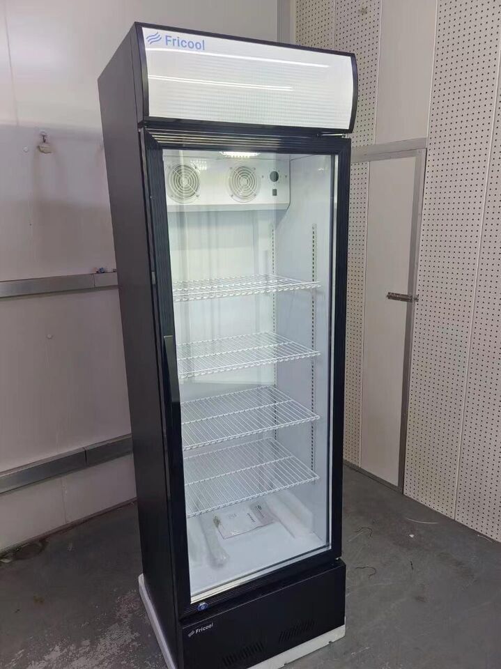 Chic Glass Door Cooler with LED Glow