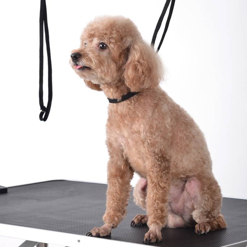 Ultimate Folding Pet Grooming Table with Storage Basket