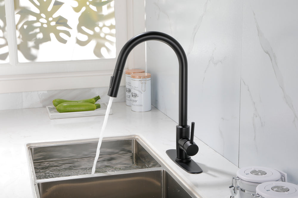 Spray & Splash Kitchen Faucet