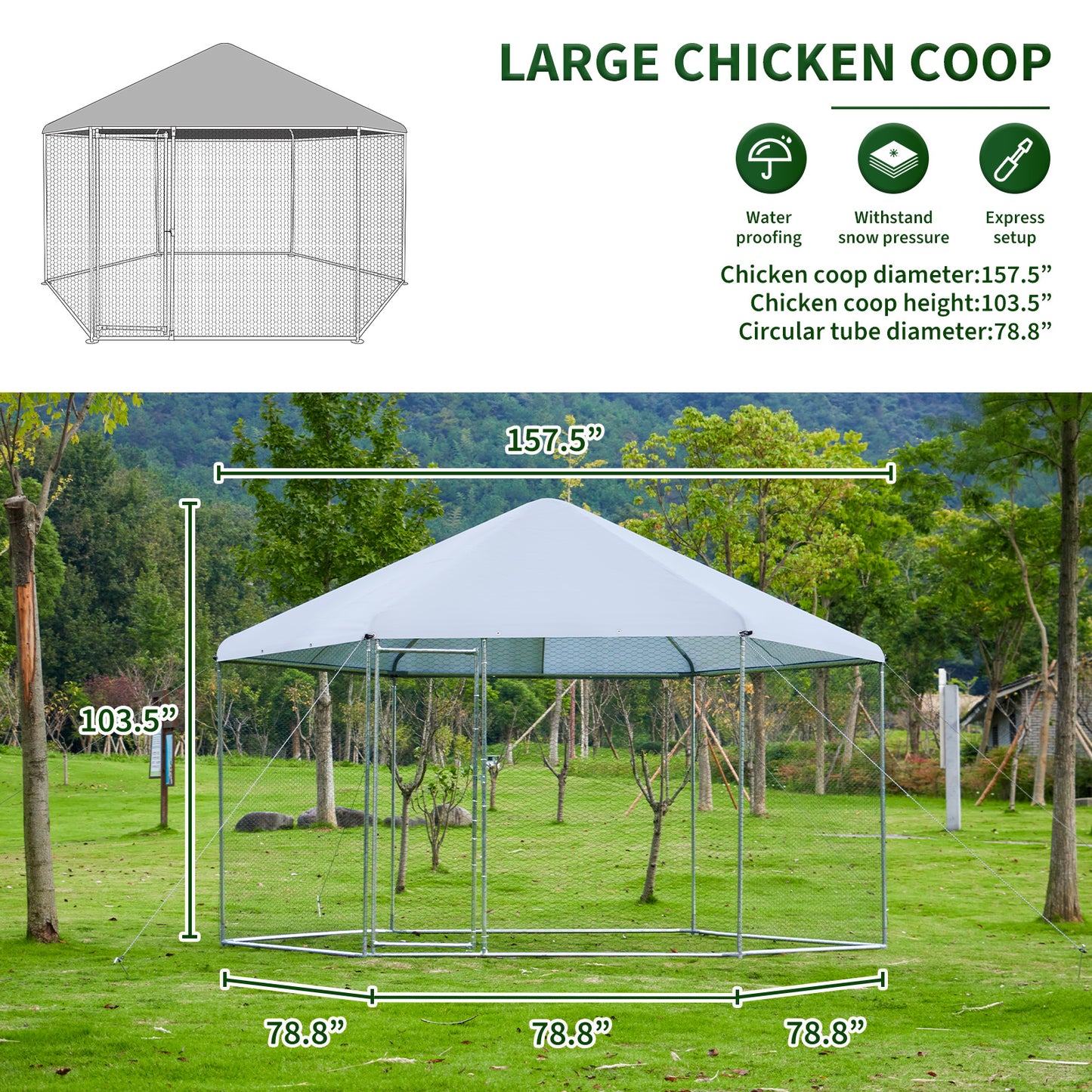 Ultimate Outdoor Chicken & Small Animal Haven