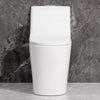 Sleek Dual Flush One-Piece Toilet with Soft-Close Seat