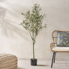 Lifelike Olive Tree – Perfect Indoor Decor!