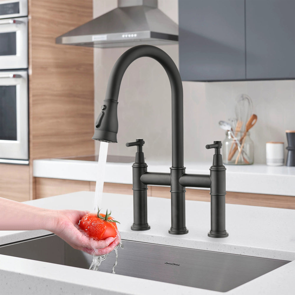 Elegant Pull-Down Kitchen Faucet with Double Handles