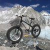 Adventure Cruiser Fat Tire Bike