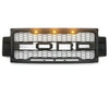 Super Duty Raptor Grill with LED Lights - Matte Black