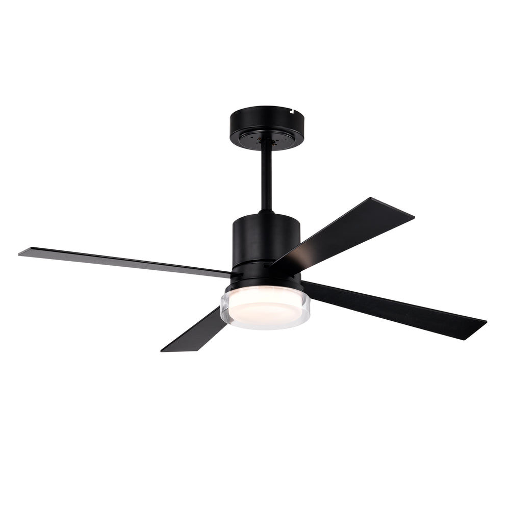 Modern Dimmable Fandelier Ceiling Fan with Remote