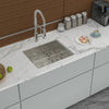 Sleek Stainless Steel Undermount Kitchen Sink