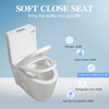 Eco-Friendly Comfort Toilet with Soft Close Seat