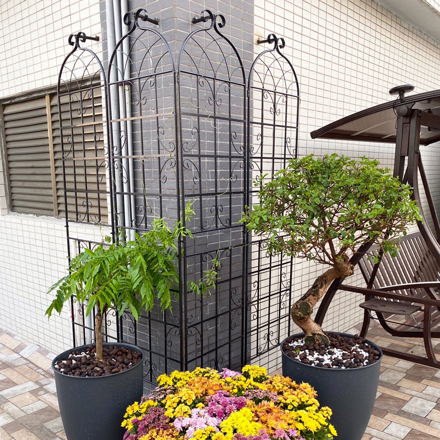 Climbing Support Trellis Set