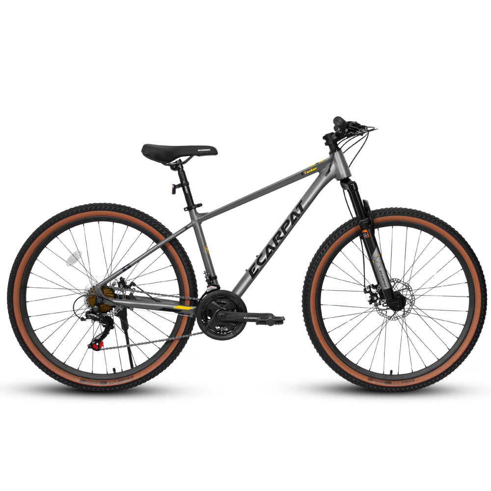 Adventure Cruiser Mountain Bike