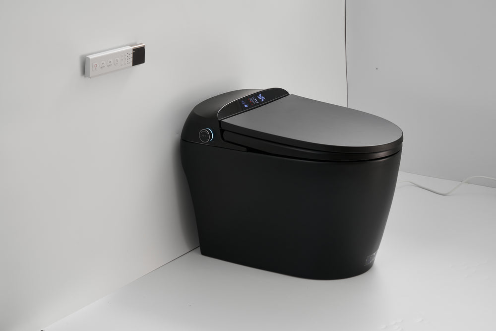 Smart Flush Toilet with Remote and Auto Cover