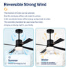 Modern Dimmable Fandelier Ceiling Fan with Remote