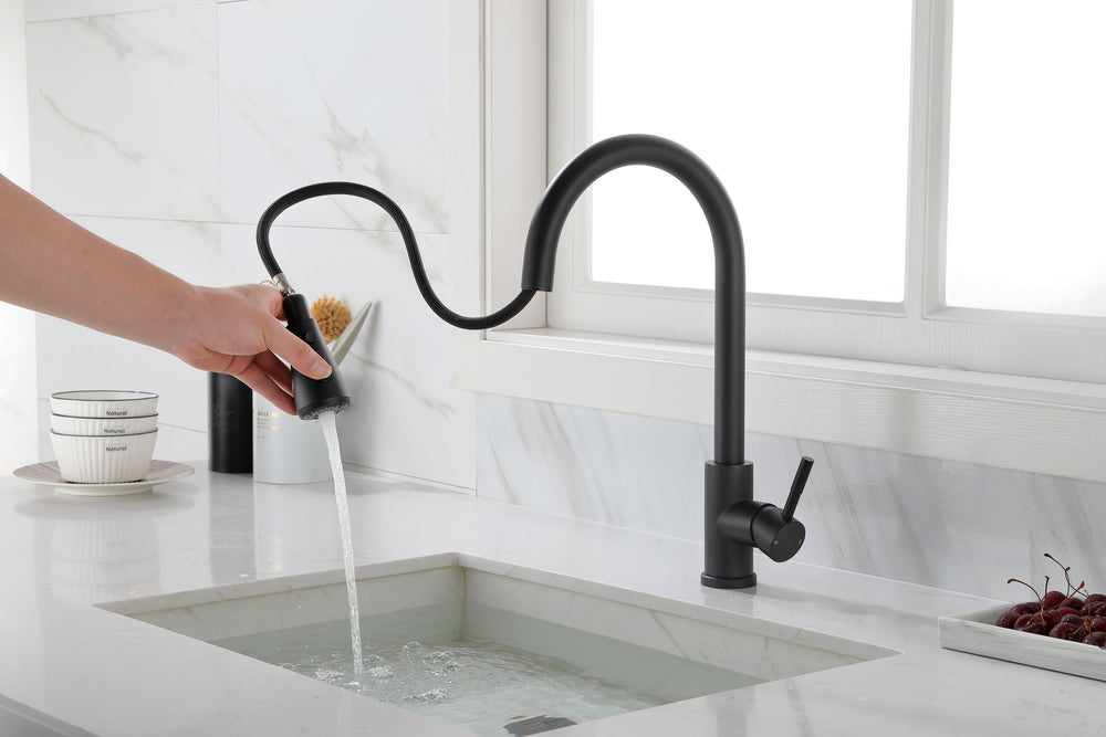 Versatile Pull-Out Kitchen Faucet