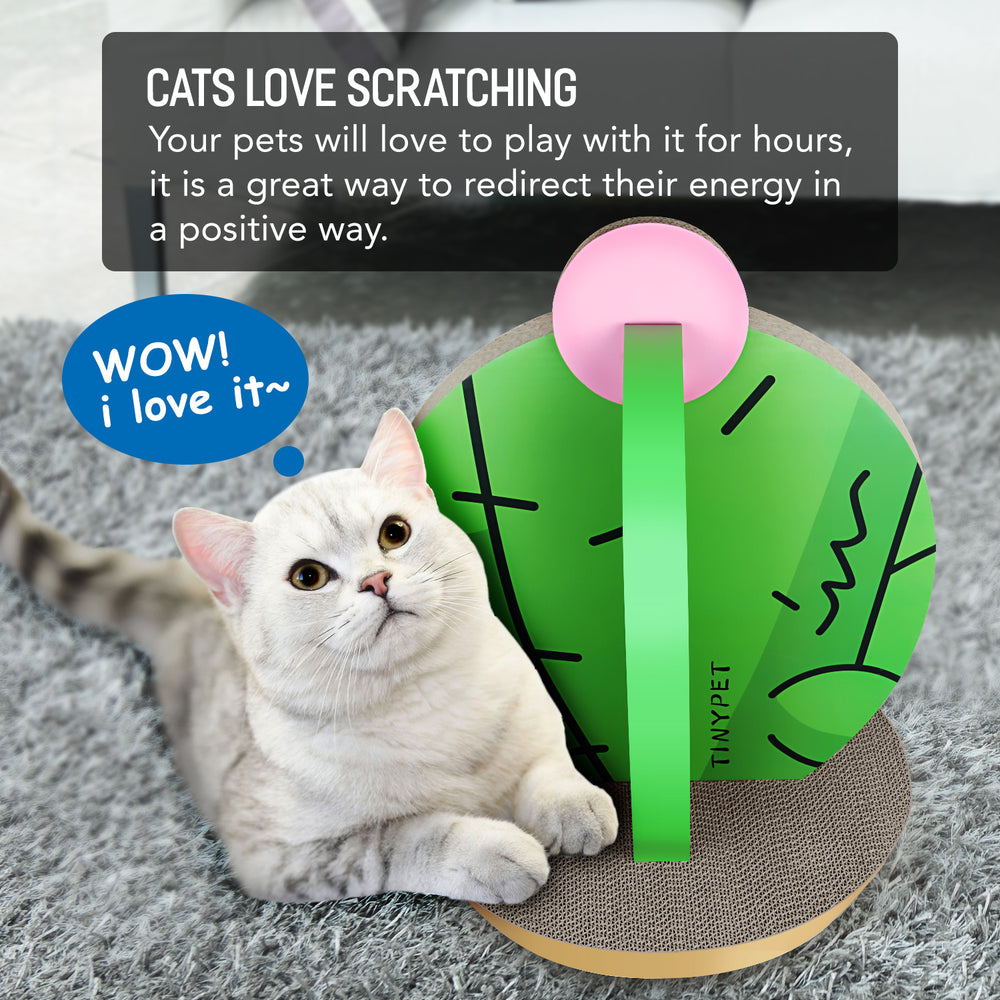 Cactus Cat Scratcher Delight