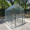 Walk-in Dream Greenhouse with Shelves