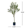 Lifelike Olive Tree – Perfect Indoor Decor!