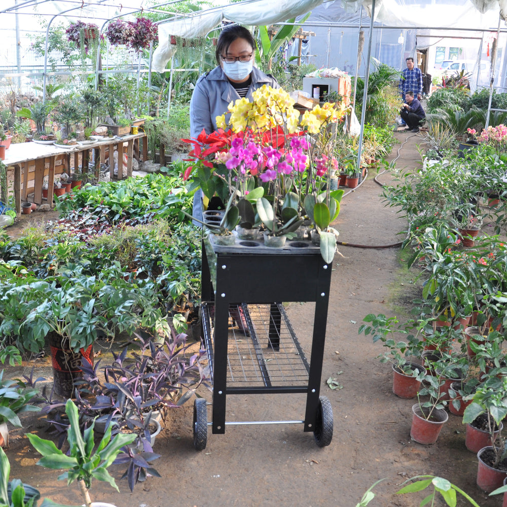 Garden Cart Planter with Wheels - Mobile Elevated Bed for Herbs & Veggies