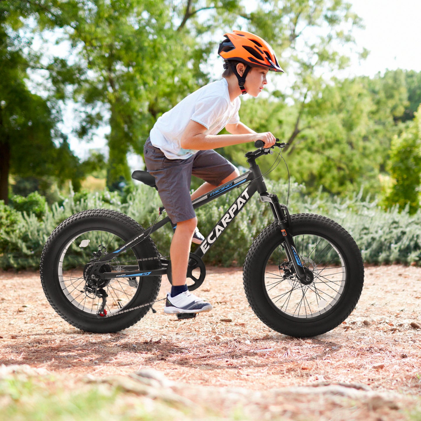 Adventure Cruiser Fat Tire Bike