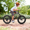 Adventure Cruiser Fat Tire Bike