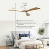 Cozy Breeze Ceiling Fan with Lights & Remote