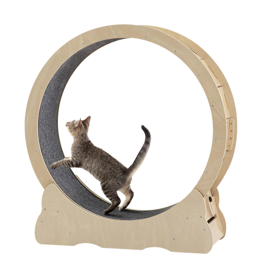 Purrfect Play Cat Treadmill