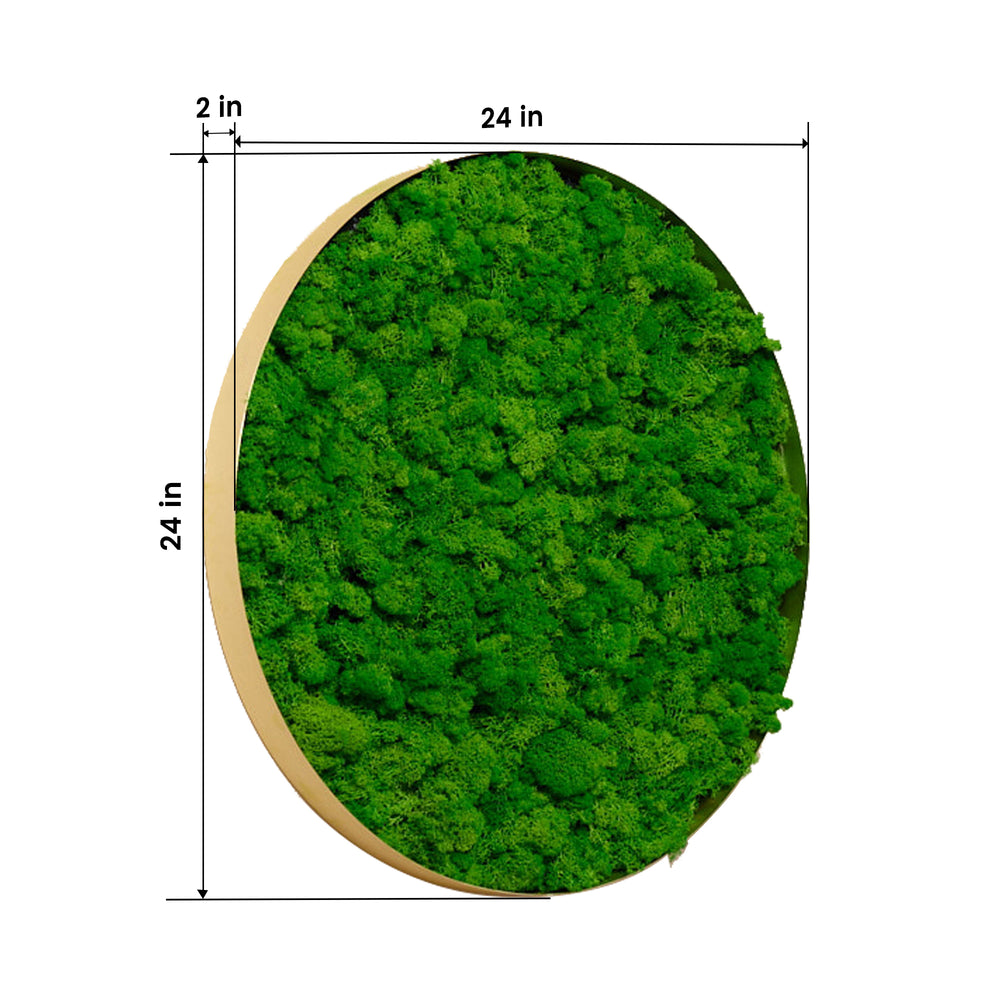 Lush Moss Round Wall Art