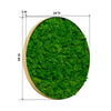 Lush Moss Round Wall Art